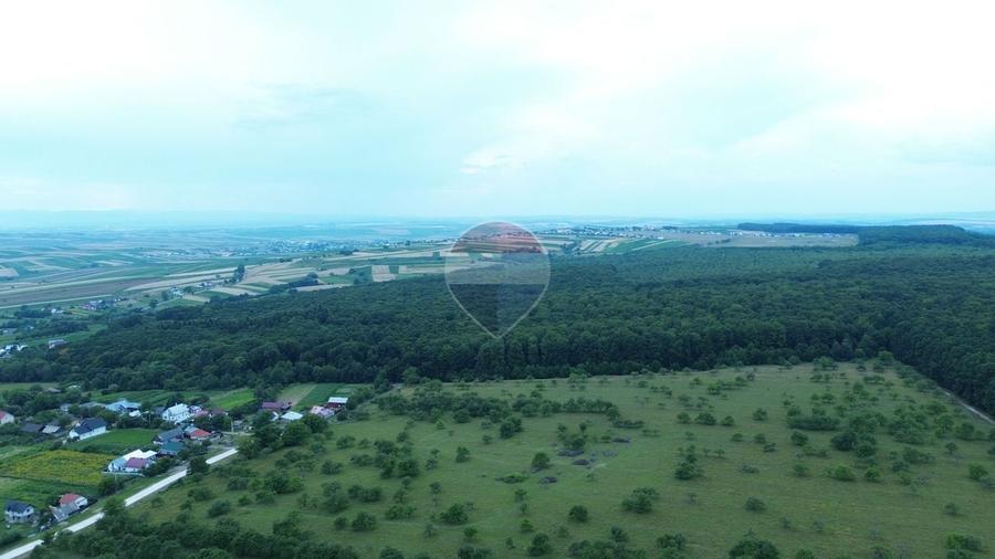 Teren agricol extravilan de 447000 mp, în Șerbăuți