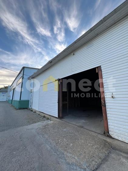 Spatiu birouri de inchiriat | Calea Someseni - 6