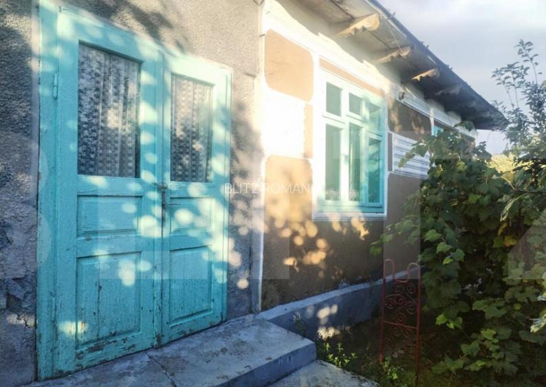Casa tradi?ionala cu teren generos Brae?ti, Boto?a