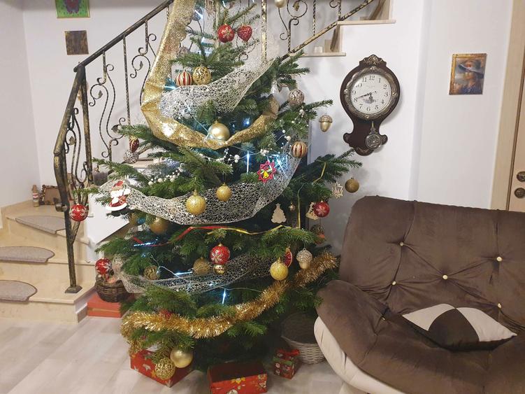 Casa primitoare Tunari - 6