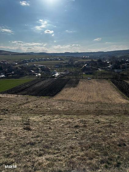 Teren agricol de vanzare, 9000 mp, acces u?or - 5