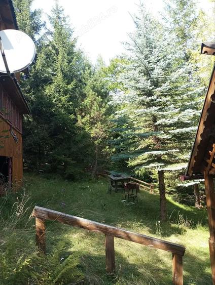 Vand cabana intr-un loc de poveste, in sta?iunea Muntele Bai?orii, inainte de cabana Militarilor. - 1