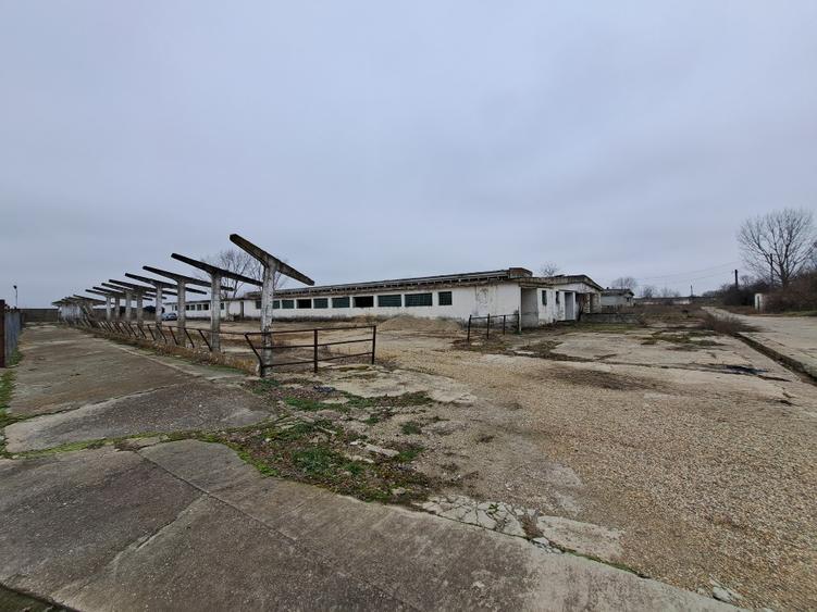 VAND HALA 2000 MP - 2