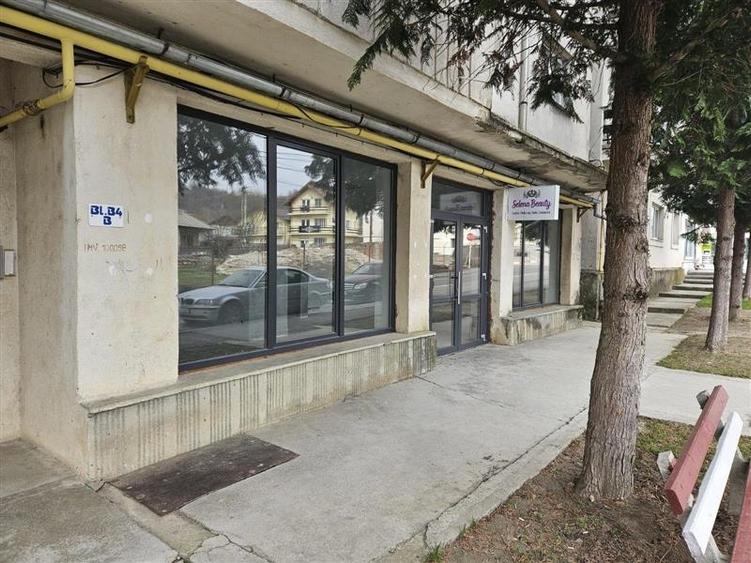 Spatiu comercial de inchiriat 110 mp Central Fieni - 1