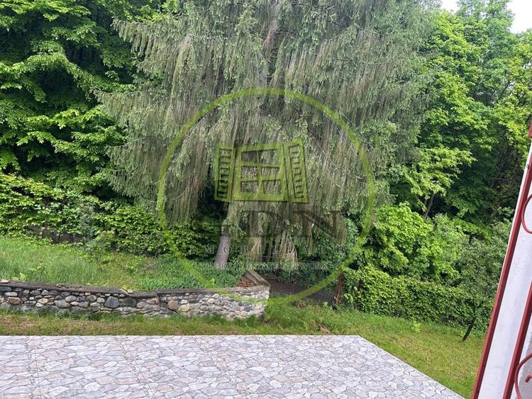 Duplex deosebit cu vedere panoramică spre munți și pădure – Tocile, Sadu - 15