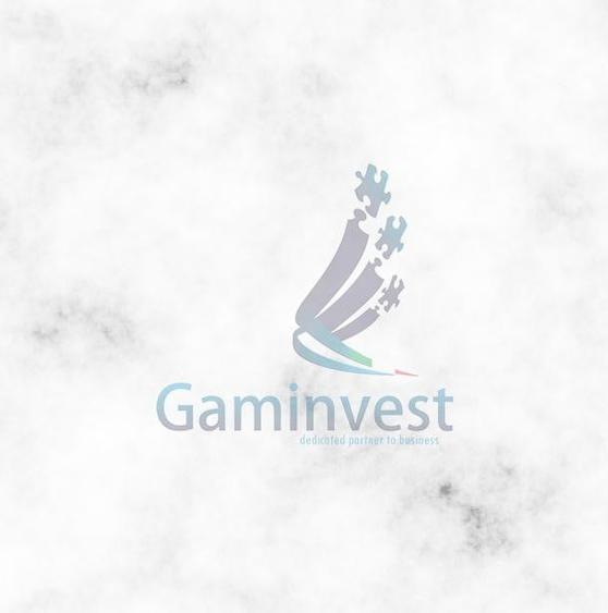 Gaminvest-Hala noua cu functiuni mixte de vanzare, Oradea, Bihor V3855 - 1