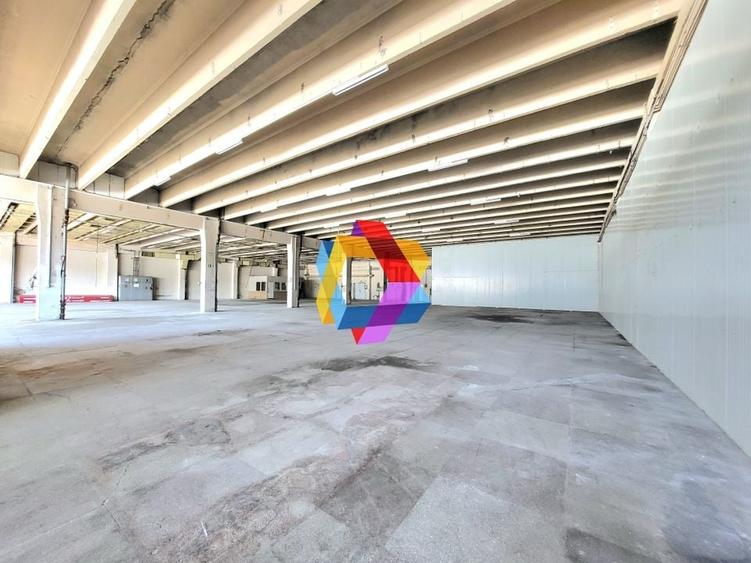 Spatiu industrial - 1229 mp  # plus-imo.ro - 3