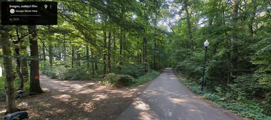 Teren de Vis pe malul lacului Snagov / 4000 mp in inima Naturii /40 m deschidere - 8