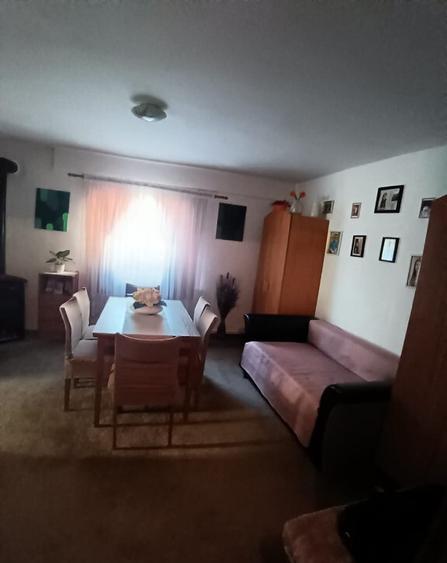 Valea Borcutului, casa 23 ari teren - 5