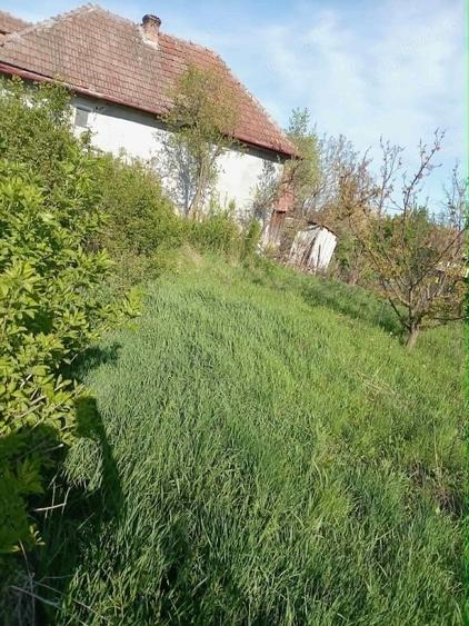 casa de vanzare in com.Calarasi - 2