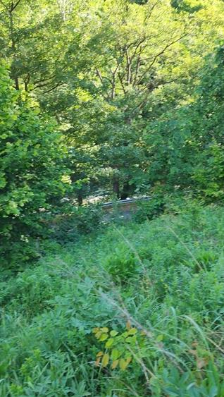 Teren Valea Cernei Baile Herculane - 8