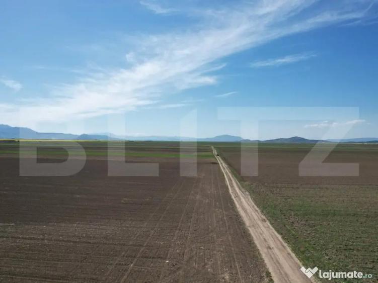 Teren extravilan, 17700mp, zona Prejmer - 8