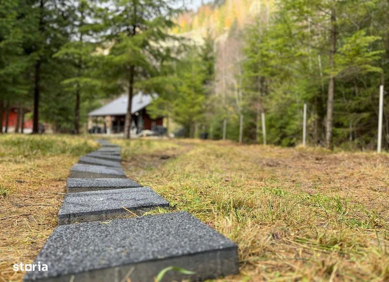 Cabana,Cu Teren De 1500 Mp - 10