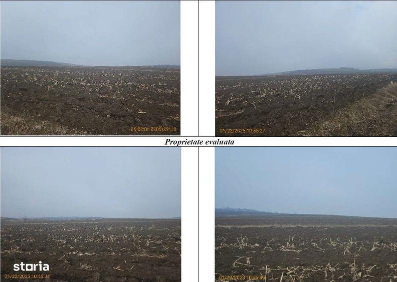 Teren extravilan cota parte 1/4, Calarasi, Botosani, ID: R2924968 - 1