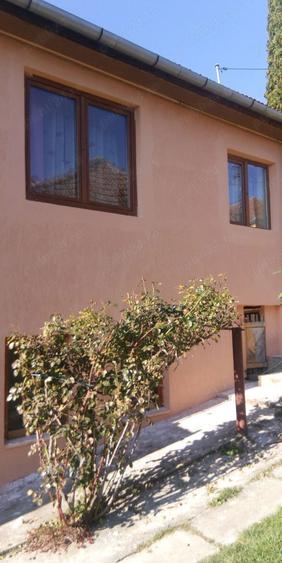 De vanzare casa individuala in Seica Mica - 2