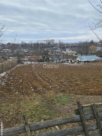 Teren de 2650 mp, în Trifești
