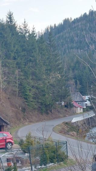 Teren intravilan de vânzare  - 5