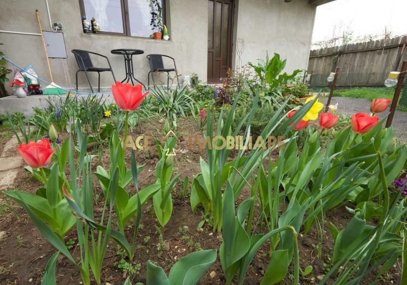 Casa de inchiriat | Militari | Metrou | Mobilata | Utilata - 7