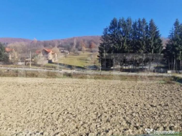 Teren extravilan - Sita Buzaului -6800 mp posibilitate trece - 9