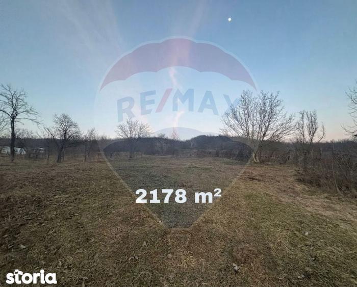 Teren 2.456 mp com. Buhoci / DJ Strada Pun?ii - 3