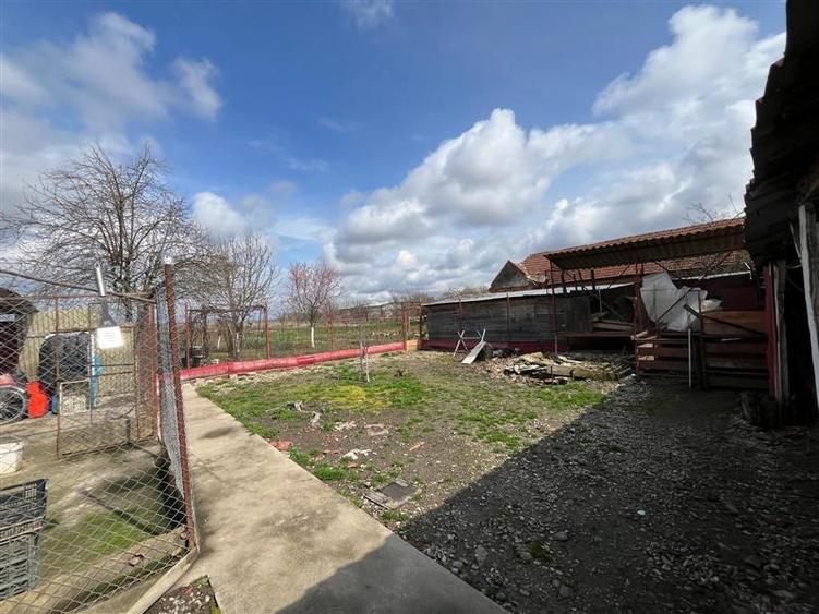 Belint, Casa, 4 Cam., 2.935 Mp. Teren - 25