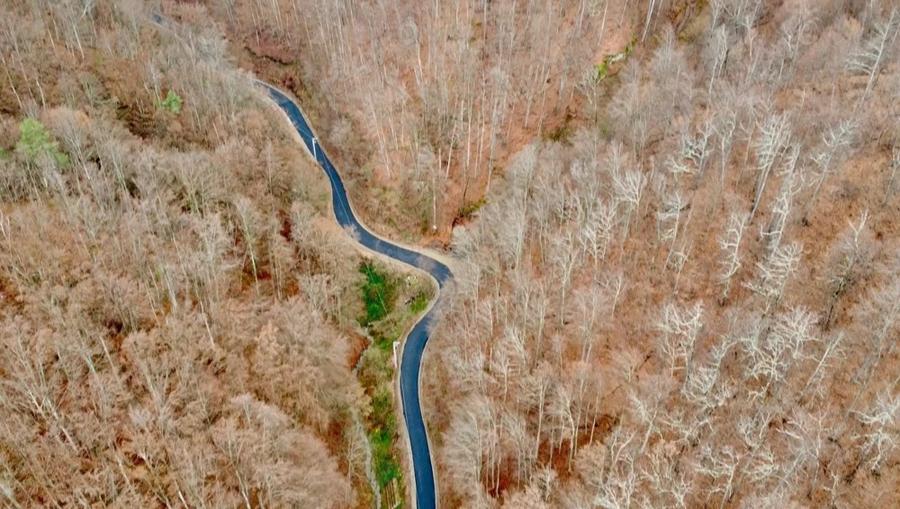 Casa si teren generos de vanzare-Olanesti(sat Tisa) - 1