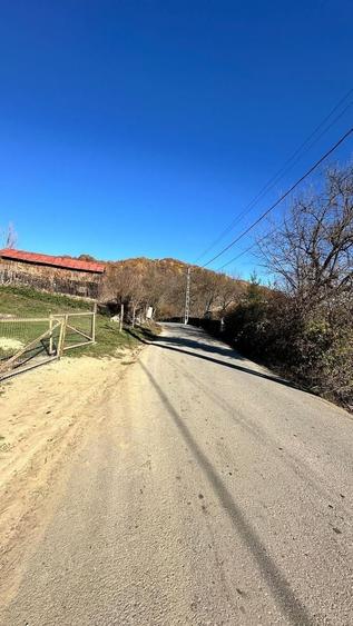 Teren 4044mp, 18 km de Campina, asfalt, utilitati, pretabil investitie - 5