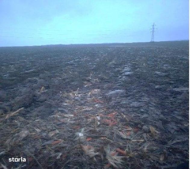 Teren extravilan Aroneanu, ID: R2933872 - 7