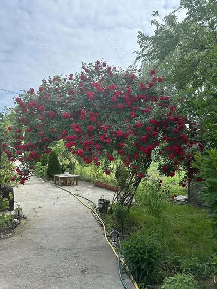 Casa de vanzare - 12