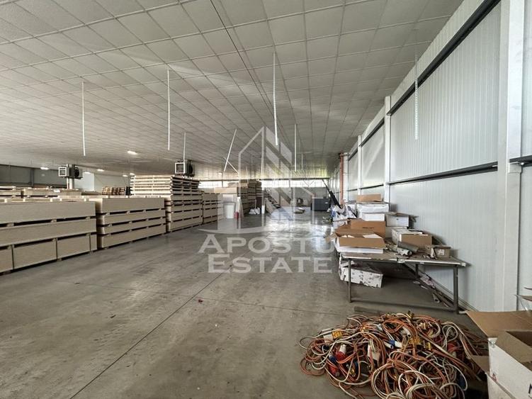 Hala 1400 mp, C. Lugojului, ideala depozitare, acces TIR. - 2