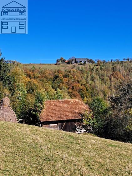 Teren extravilan in localitatea Bulz - 13