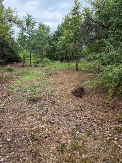 Teren de 2400 mp, în Tăuții-Măgherăuș