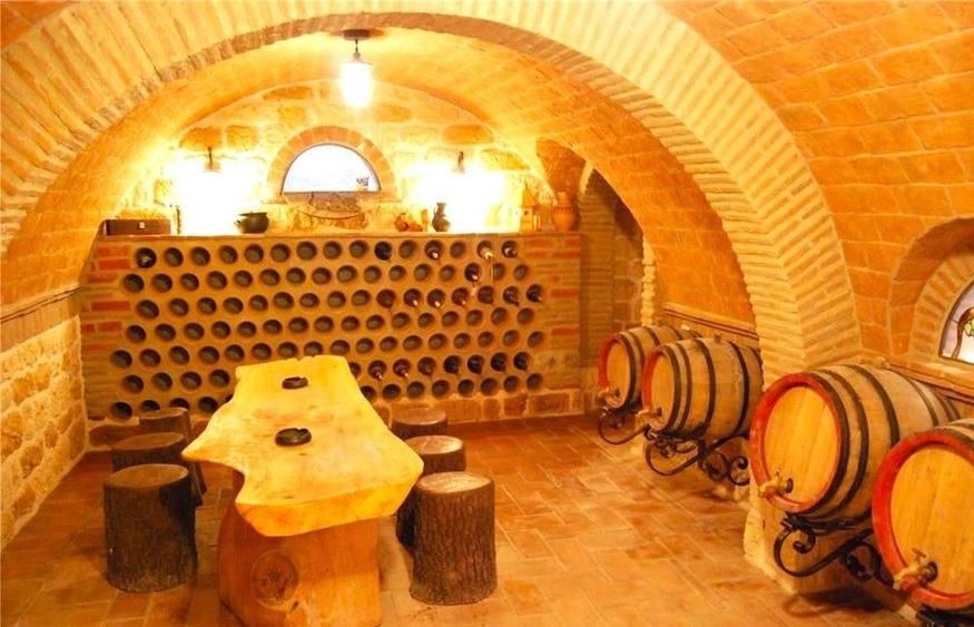 INVESTITIE!Imobil P+1,8 camere 380mp,teren 1629mp +crama superba+foisor - 9