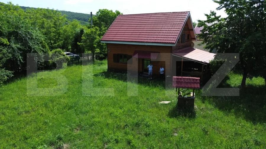 Cabana de poveste pe malul raului | Refugiu in natura, teren generos - 11
