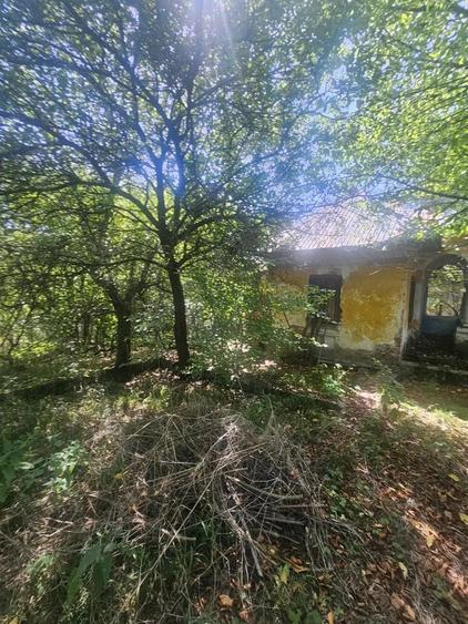 Teren de 1113 mp si casa batraneasca in comuna Mihaesti jude?ul Valcea - 5