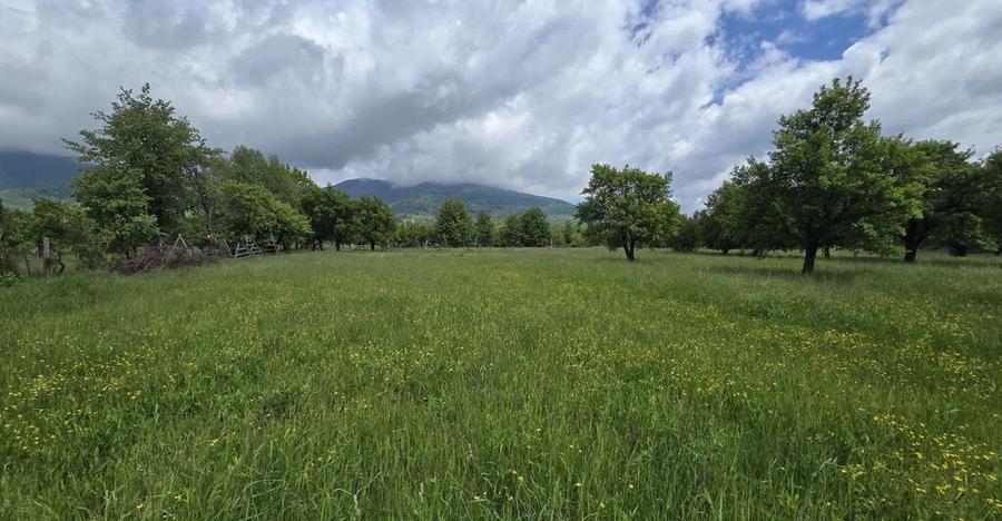 Teren intravilan - 2 minute de centru Prundu Bargaului - ... - 1