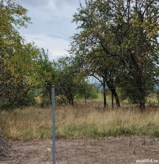 Vand casa si gradina in sat Breazova Jud Timi? - 2