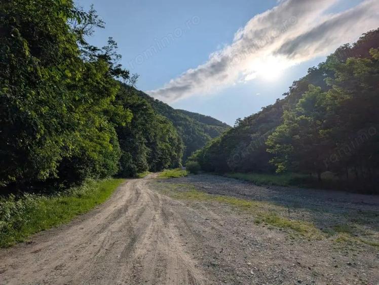 Sarata Bai- Oportunitate investi?ie- 4038 mp- priveli?te spectacol - 5