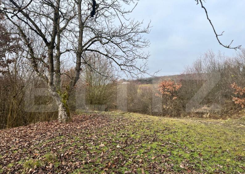 Teren extravilan, 4 hectare, langa livada de mere Ghinda - 5