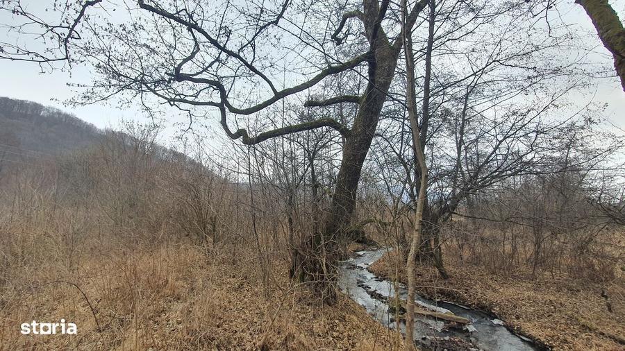 Teren Stana de Vale Sovata - Telek Patakmajor - 7