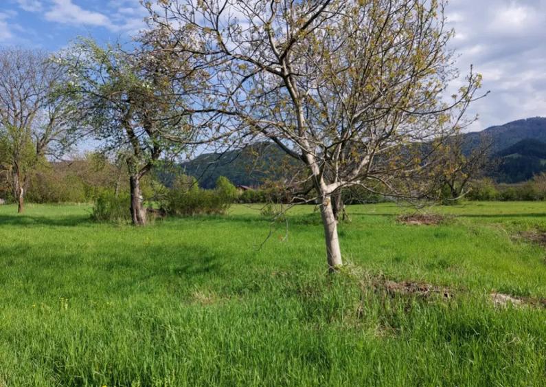 Teren splendid Vaduri cu utilita?i si vecini de calitate - 2