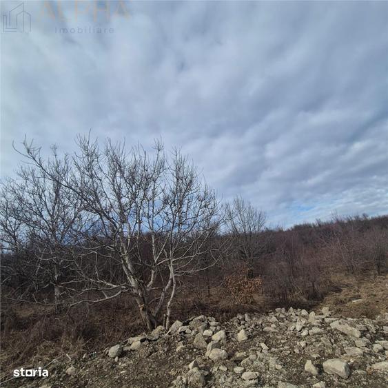 Teren intravilan de vanzare Sigmir, Str. Soarelui - 4