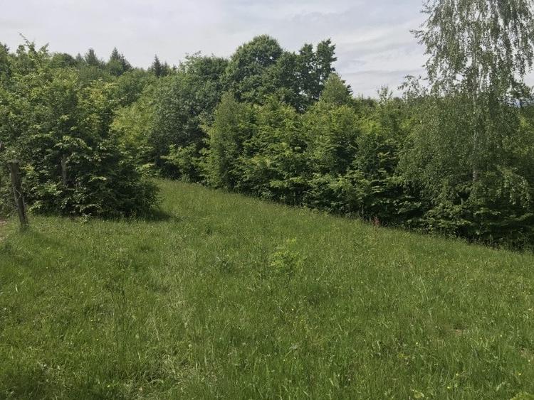 Vand teren in Albestii de Muscel faneata-pasune, partial impadurit - 5