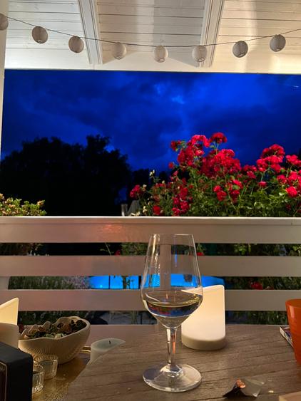 Snagov/Silistea Lac  Doar calitate / liniște. Doar pentru cine știe ce caută. - 7