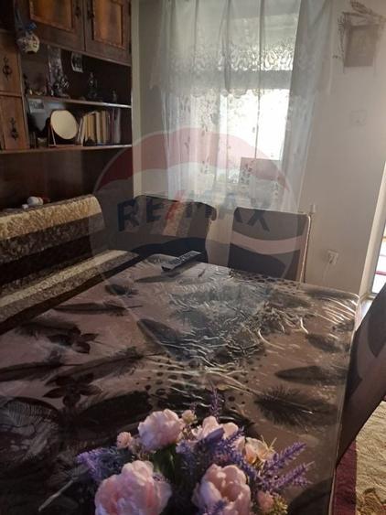 Casa / Vila cu 6 camere de vanzare in zona Sud - 10