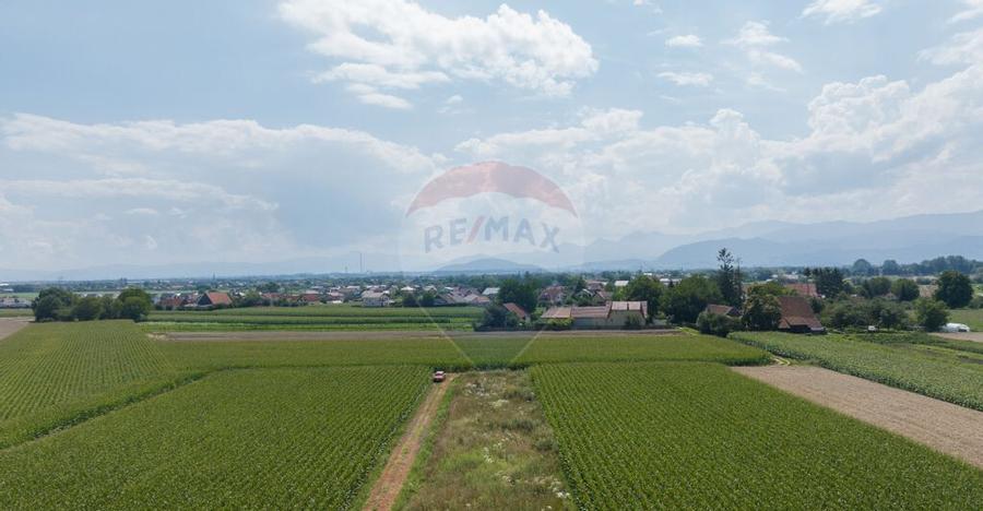 Teren de 1100 mp de vanzare in Stupini - 13