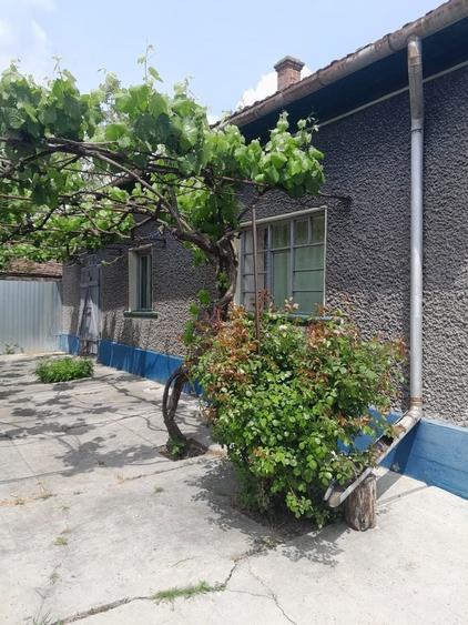Vand casa in localitatea Misca - 8