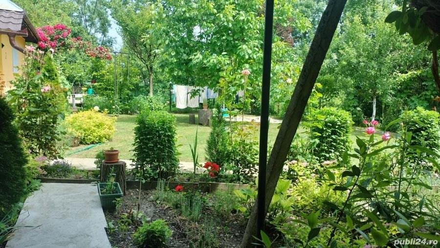 casa vinzare - 5
