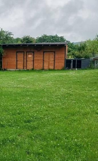 Casa finisata in Tara Hategului - 2