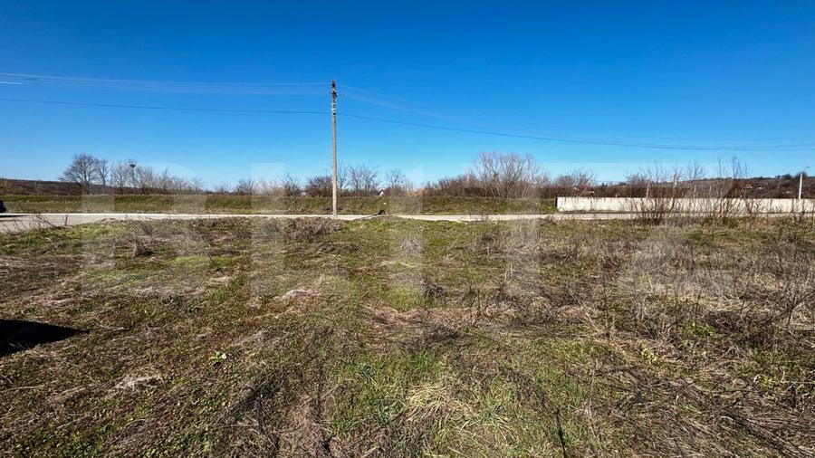 Teren IV 1.331 mp, deschidere bilaterala, toate utilitatile, Mischii - 5